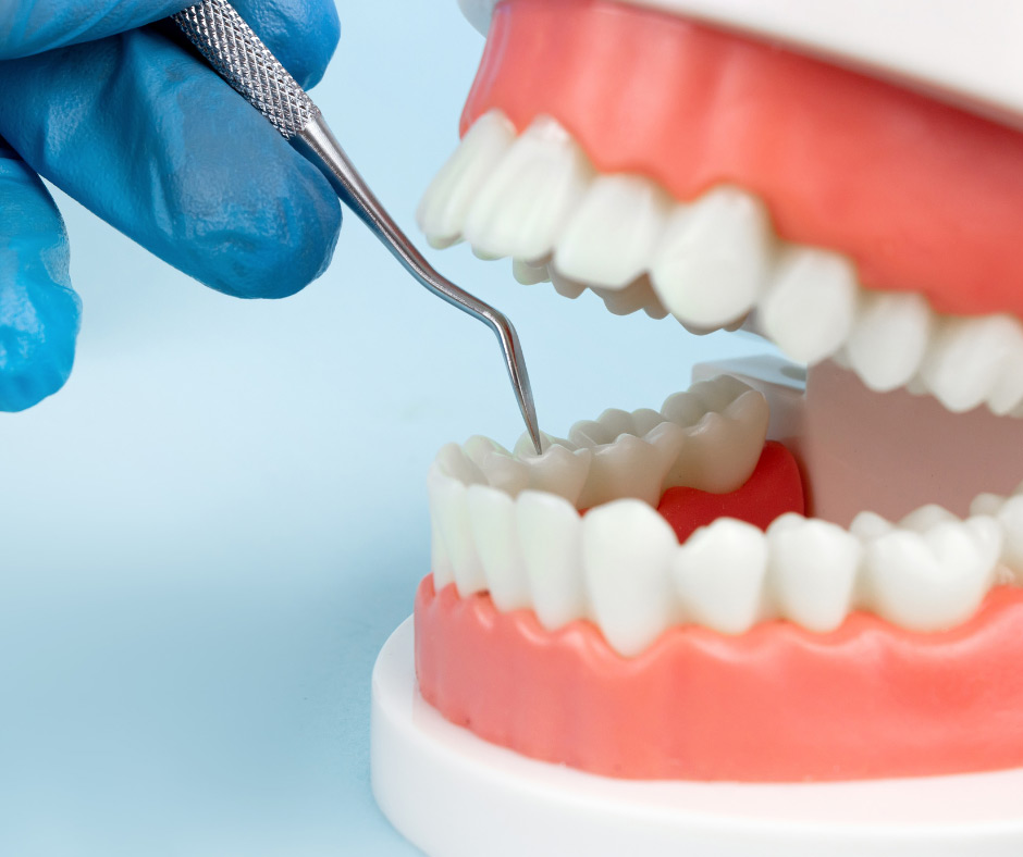 dental technician examining dentures